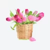 Producto Tres - Image 3