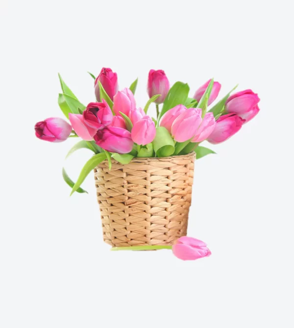 Producto Dos - Image 4