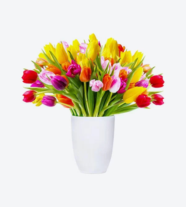 Producto Dos - Image 2