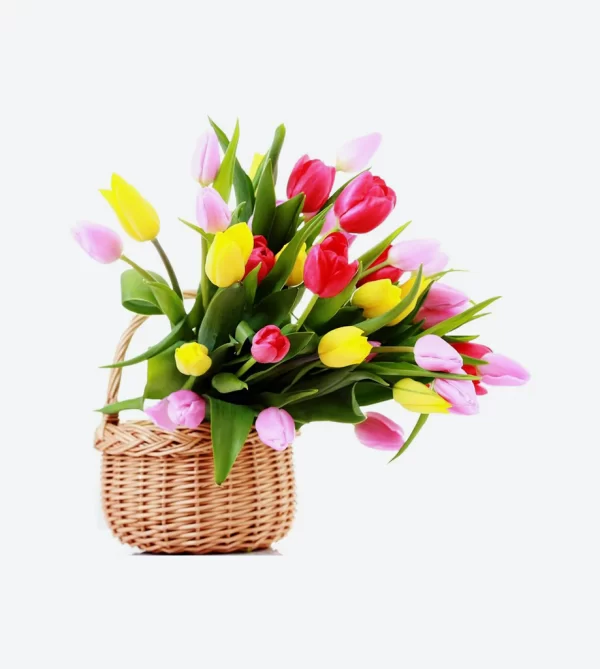 Producto Dos - Image 3