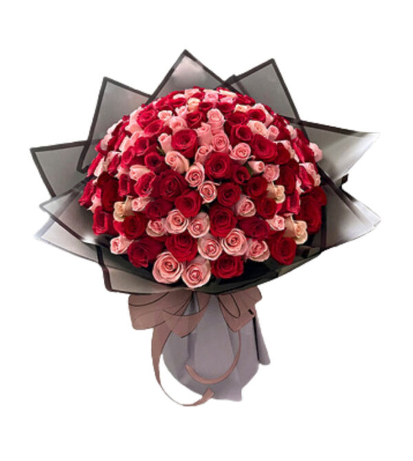 Ramo buchon 500 rosas