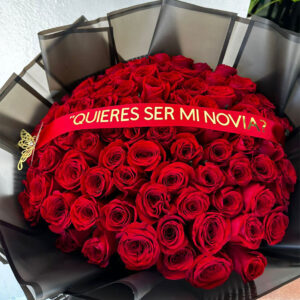 Quieres Ser Mi Novia AC