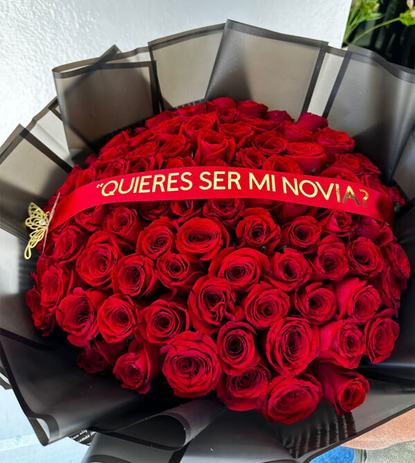 Quieres Ser Mi Novia AC